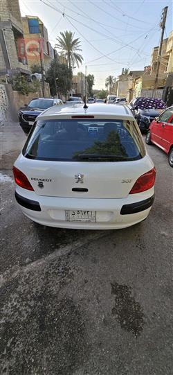 بیجۆ 307